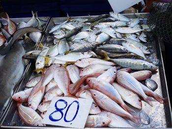 Fish for sale at market