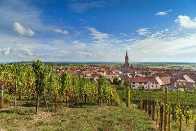 View of dambach la ville from the hill with vineyard, alsace, france