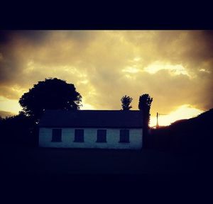 Silhouette of trees at sunset