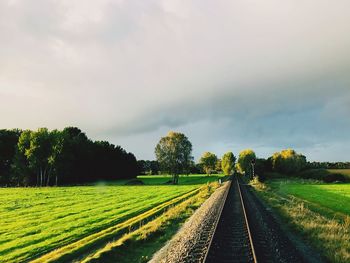 Railroad tracks amidst trees against sky