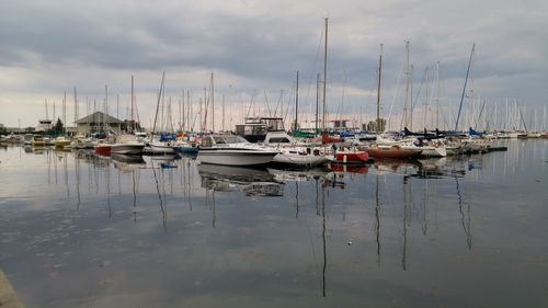 Sailboats moored at harbor against sky