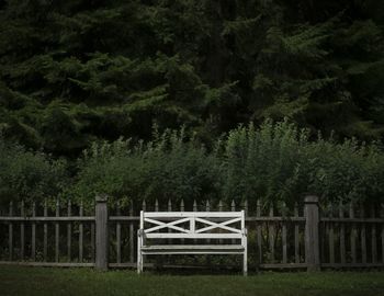 Trees in park