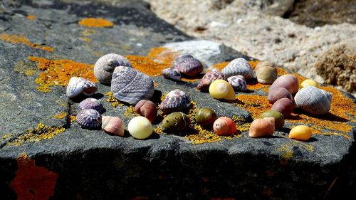 High angle view of stones on rock