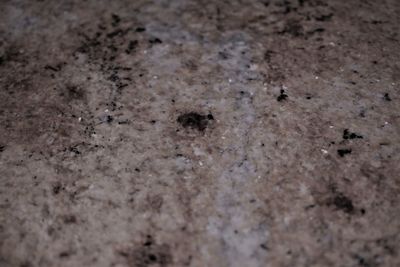 Full frame shot of ground