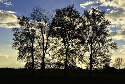 Bare trees on field against cloudy sky