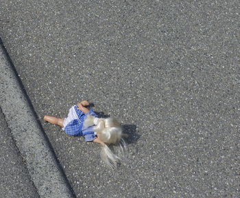 High angle view of woman working