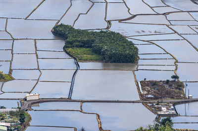 High angle view of plants against sky