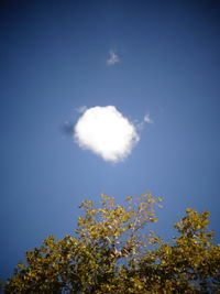 Low angle view of trees against blue sky