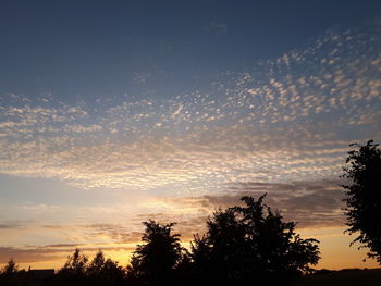 Low angle view of silhouette trees against sky during sunset