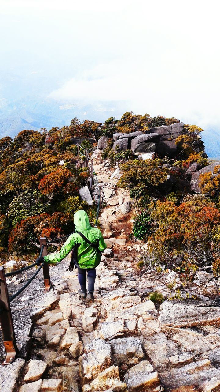 REAR VIEW OF MAN ON ROCK BY PLANTS AGAINST SKY