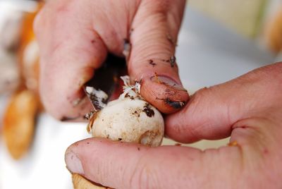 Cropped image of hands peeling mushroom