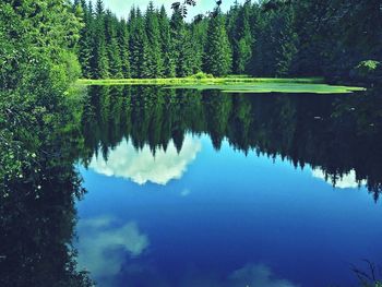 Reflection of trees in lake against sky