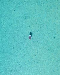 High angle view of woman swimming in pool