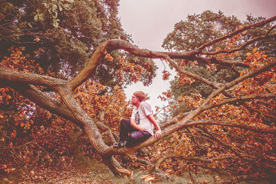 Full length of young man sitting on tree branch during autumn