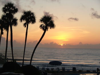 Silhouette of palm trees at beach during sunset