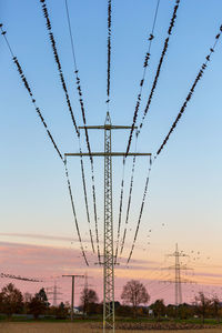 Electricity pylon with birds on it on field against sky at sunset