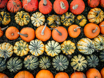 Full frame shot of pumpkins for sale in market