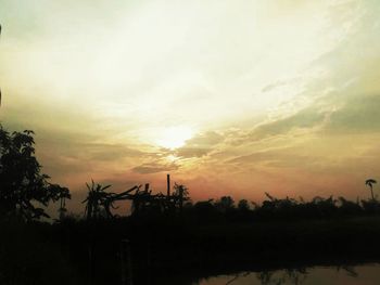 Silhouette trees against sky during sunset