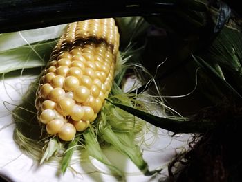 Close-up of fresh vegetables