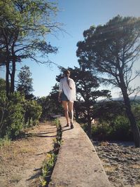 Rear view of woman walking on retaining wall amidst trees against sky