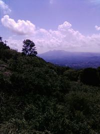 Scenic view of landscape against cloudy sky