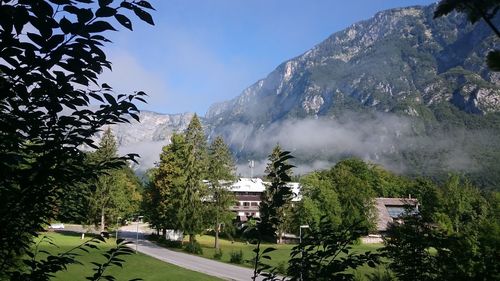 Panoramic view of trees and mountains against sky