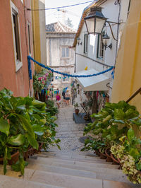 Narrow alley amidst houses and buildings in city