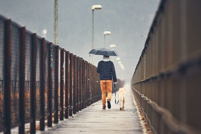 Rear view of man walking with dog on footbridge during rainy season