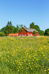 Scenic view of grassy field by houses against clear sky