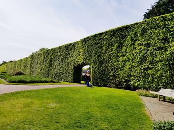 Man on green grass against sky