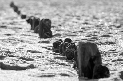 Close-up of rocks on beach