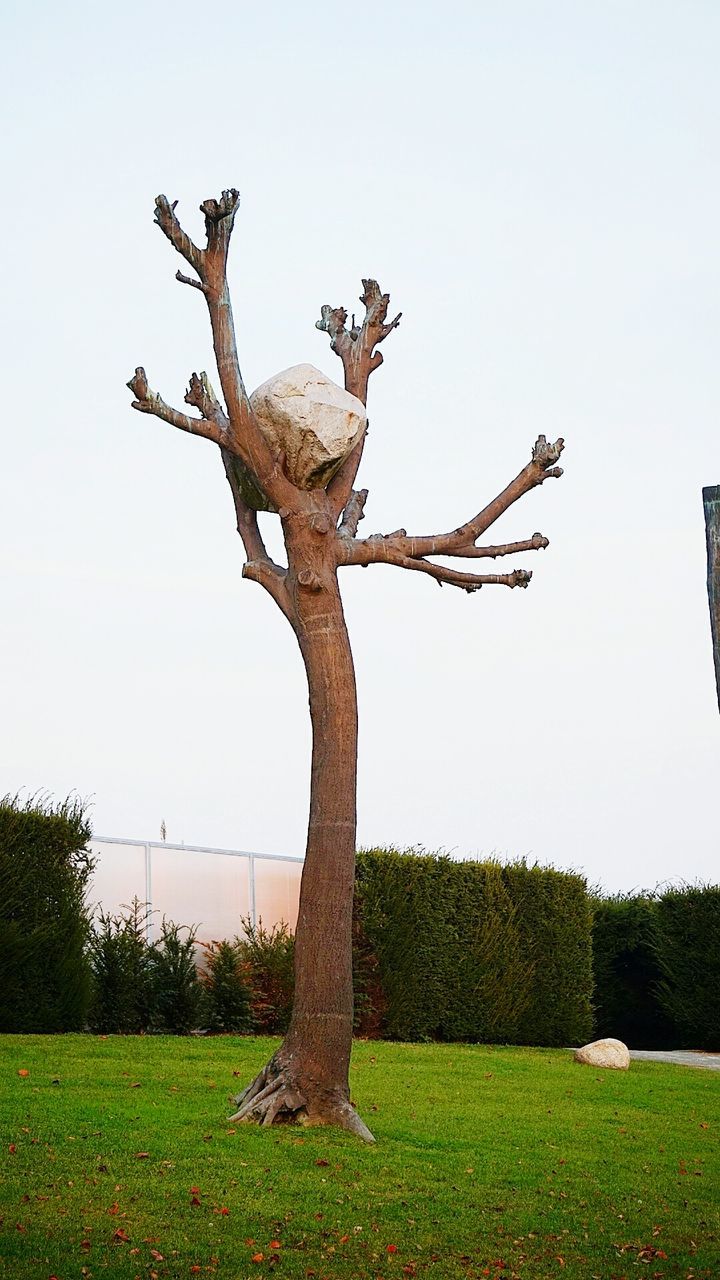 tree, day, no people, sculpture, statue, outdoors, growth, nature, sky, clear sky, grass, beauty in nature, dead tree