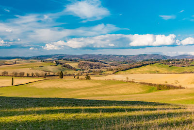 Scenic view of agricultural field against sky