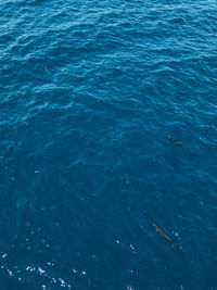 Full frame shot of sea