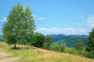 Scenic view of trees on field against sky