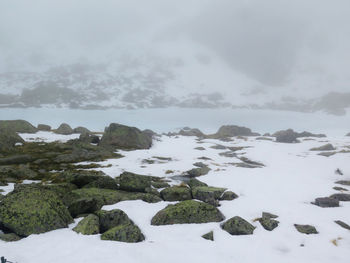 Frozen lagoon in high mountain