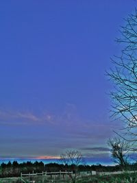 Scenic view of grassy field against sky