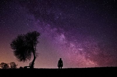 Silhouette of tree against clear sky at night