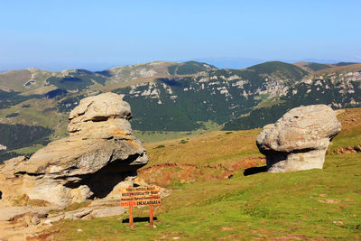 Rock formation with information sign on field at bucegi natural park