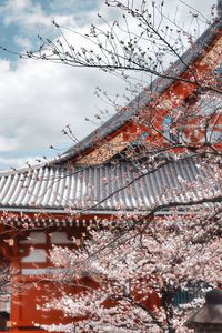 Low angle view of bare trees and buildings against sky