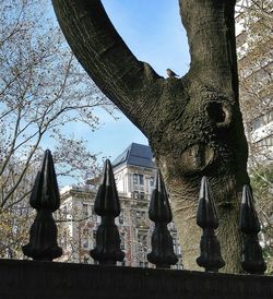 Low angle view of trees