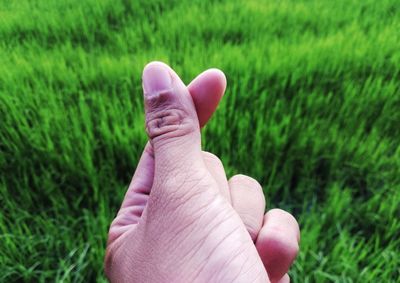 Midsection of person hand on grass