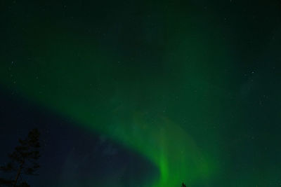 Low angle view of star field at night