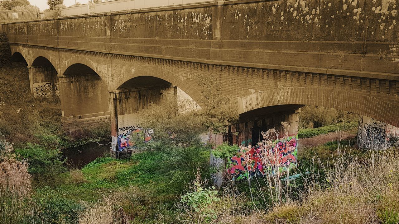 built structure, architecture, arch, plant, connection, bridge, bridge - man made structure, transportation, nature, arch bridge, flower, flowering plant, day, growth, real people, outdoors, mode of transportation, old, incidental people, travel, architectural column, arched