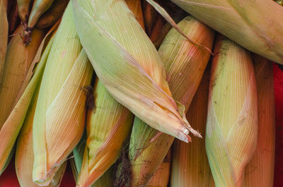 Close-up of fresh vegetables