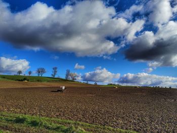 Scenic view of agricultural field against sky