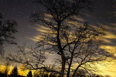 Low angle view of bare trees against sky