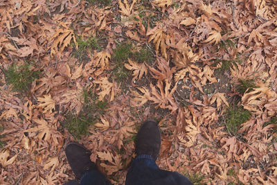 Low section of person standing on autumn leaves