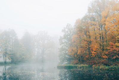 Trees by lake against sky during autumn