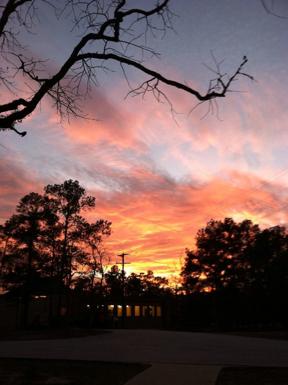 sunset, tree, sky, silhouette, cloud - sky, orange color, building exterior, built structure, architecture, nature, beauty in nature, cloud, street light, cloudy, tranquility, scenics, branch, dusk, outdoors, house